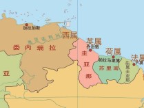 包含苏里南运动员在游泳比赛中拔得头筹的词条