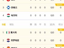 欧洲杯赛即将启动，谁能在赛场上万众瞩目？的简单介绍